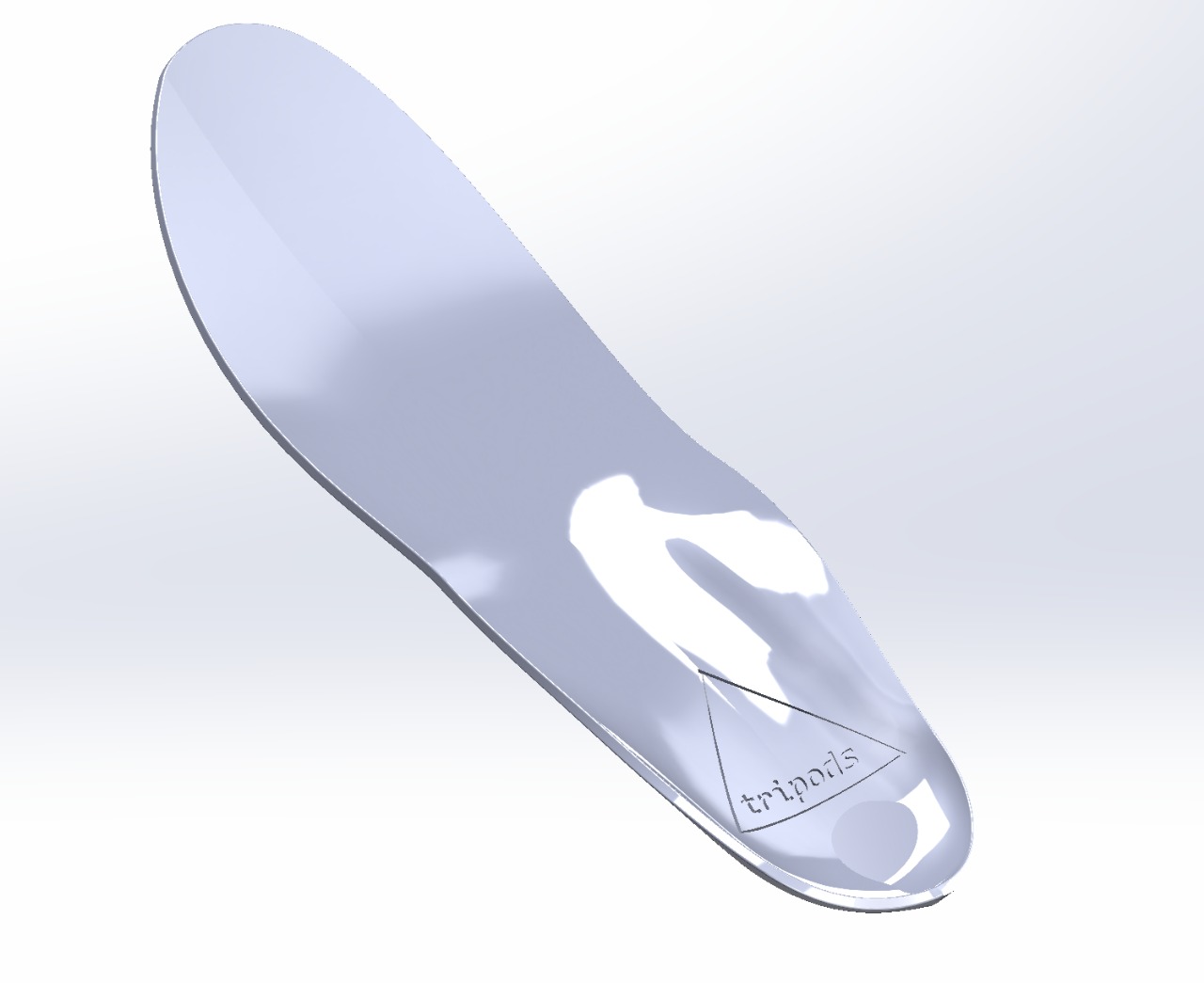 Insole Render